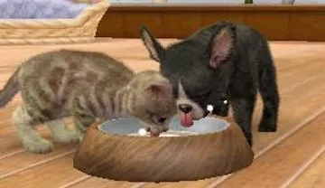 Nintendogs   Cats - Shiba Inu & New Friends (Japan) screen shot game playing